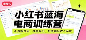 小红书蓝海电商训练营：AI虚拟选品，批量笔记，打造睡后收入系统-庄子聊项目