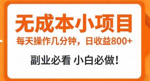 无成本小项目 每天操作几分钟，真实日收益800+ 副业必看 小白必做！-庄子聊项目
