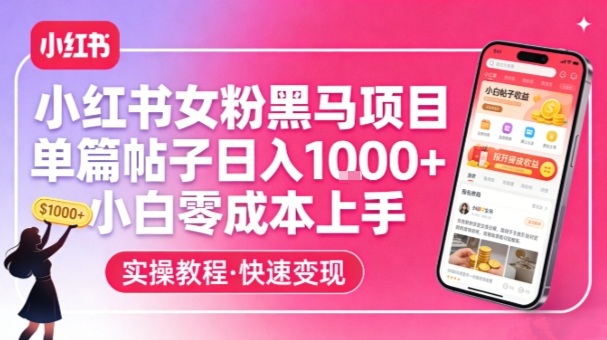 小红书女粉黑马项目，单篇帖子日入1k+，小白零成本上手-庄子聊项目