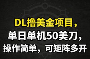 DL撸美金项目，单日单机50美刀，操作简单，可矩阵多开-庄子聊项目