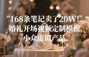 168条笔记卖了20W！婚礼开场视频定制模板，小众虚拟产品-庄子聊项目