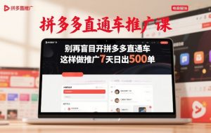 拼多多直通车推广课，别再盲目开拼多多直通车，这样做推广7天日出500单-庄子聊项目