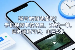 碎片时间就能做！手机视频审核项目，20秒一单，随时随地可做，单日4张+【揭秘】-庄子聊项目