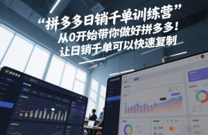 拼多多日销千单训练营，从0开始带你做好拼多多，让日销千单可以快速复制(更新26年2月)-庄子聊项目