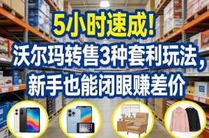 5小时速成!沃尔玛转售3种套利玩法,新手也能闭眼賺差价-庄子聊项目