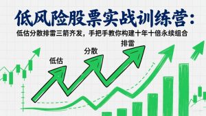 低风险股票实战训练营：低估分散排雷三箭齐发，手把手教你构建十年十倍永续组合-庄子聊项目