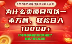 一单净利润1K+，26年想年入100个W，死磕卖项目就够了【揭秘】-庄子聊项目