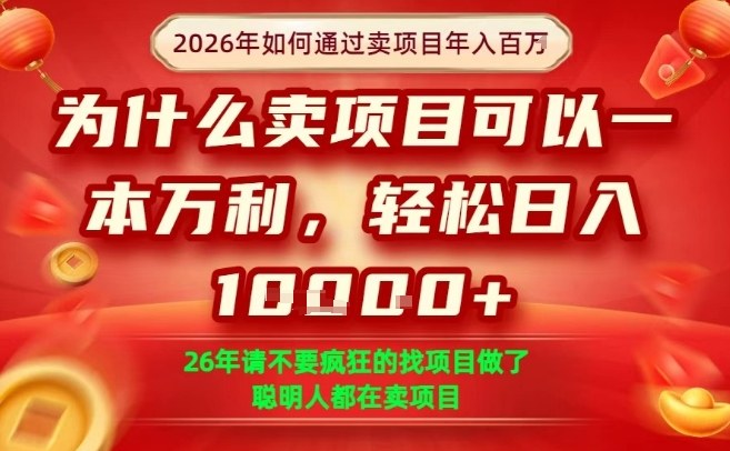 一单净利润1K+，26年想年入100个W，死磕卖项目就够了【揭秘】-庄子聊项目