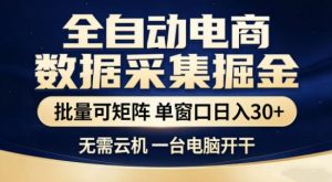 独家电商数据全自动采集项目，批量可矩阵，单窗口轻松日入3张+【揭秘】-庄子聊项目