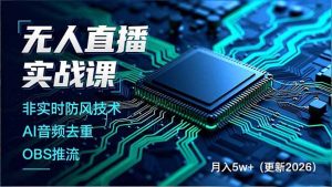 无人直播实战课(更新3月-庄子聊项目