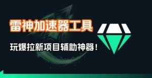 雷神加速器项目模拟器_无脑1分钟1条视频矩阵_疯狂报单打法【焚诀】-庄子聊项目