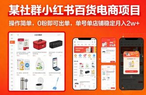 某社群小红书百货电商项目，操作简单，0粉即可出单，单号单店铺稳定月入2w+-庄子聊项目