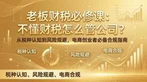 老板财税必修课：不懂财税怎么管公司？从税种认知到风险规避，电商创业者必备合规指南-庄子聊项目