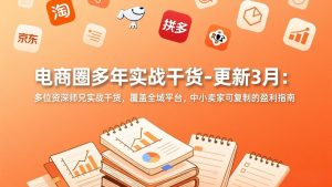 电商圈多年实战干货-更新3月：多位资深师兄实战干货，覆盖全域平台，中小卖家可复制的盈利指南-庄子聊项目