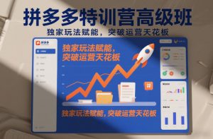 拼多多特训营高阶班，独家玩法赋能，突破运营天花板(更新26年3月13日)-庄子聊项目