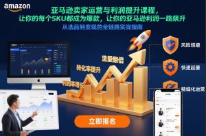亚马逊卖家运营与利润提升课程，让你的每个SKU都成为爆款，让你的亚马逊利润一路飙升(更新26年3月)-庄子聊项目