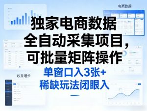 独家电商数据全自动采集项目，可批量矩阵操作，单窗口日入3张+，稀缺玩法闭眼入【揭秘】-庄子聊项目