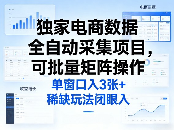 独家电商数据全自动采集项目，可批量矩阵操作，单窗口日入3张+，稀缺玩法闭眼入【揭秘】-庄子聊项目