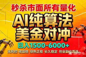 2026全网首发黑马项目，AI美金算法对冲，日入2000-6000+，稳定长效0风险，彻底告别996死工资-庄子聊项目