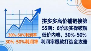 拼多多高价铺链接第55期:6阶段实操破解低价内卷,30%-50%利润率爆款打造全攻略-庄子聊项目