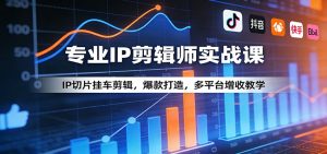 专业IP剪辑师实战课：IP切片挂车剪辑，爆款打造，多平台增收教学-庄子聊项目