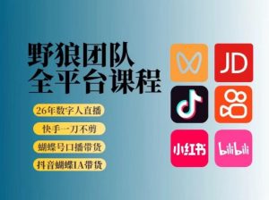 野狼团队2026新版全平台短视频带货教学，打开流量突破口，开始Ai带货(更新26年3月)-庄子聊项目