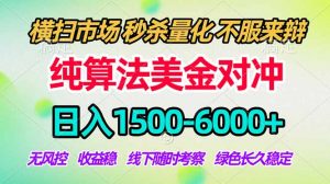 2026美金掘金新风口-纯算法对冲震撼上线！日入1500-6000+，长久合规稳健，轻松摆脱死工资-庄子聊项目